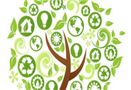 多參數(shù)水質(zhì)分析儀招標參數(shù)是什么？有什么要求？