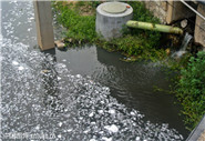污水處理廠進(jìn)水口水質(zhì)、出水口水質(zhì)12項(xiàng)必檢項(xiàng)目指標(biāo)